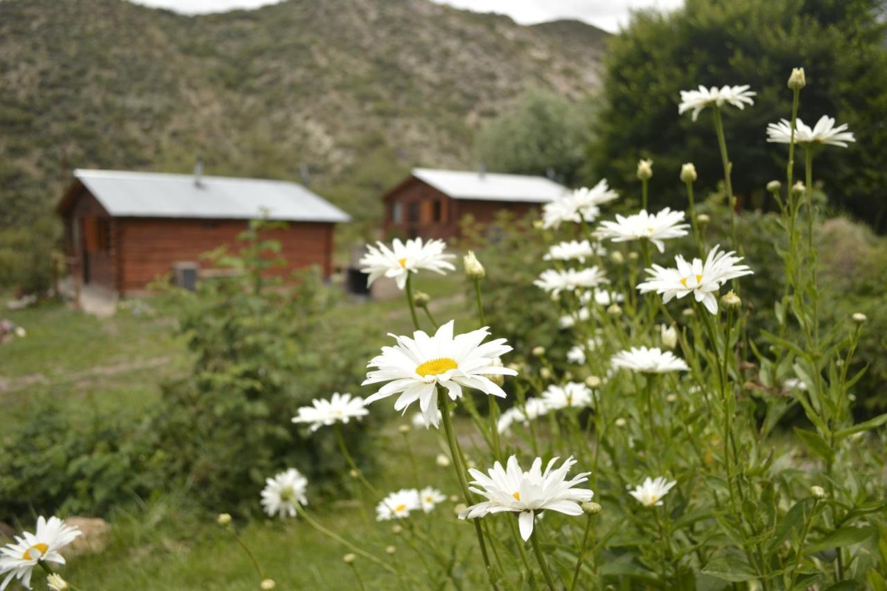 Kpriccio Potrerillos