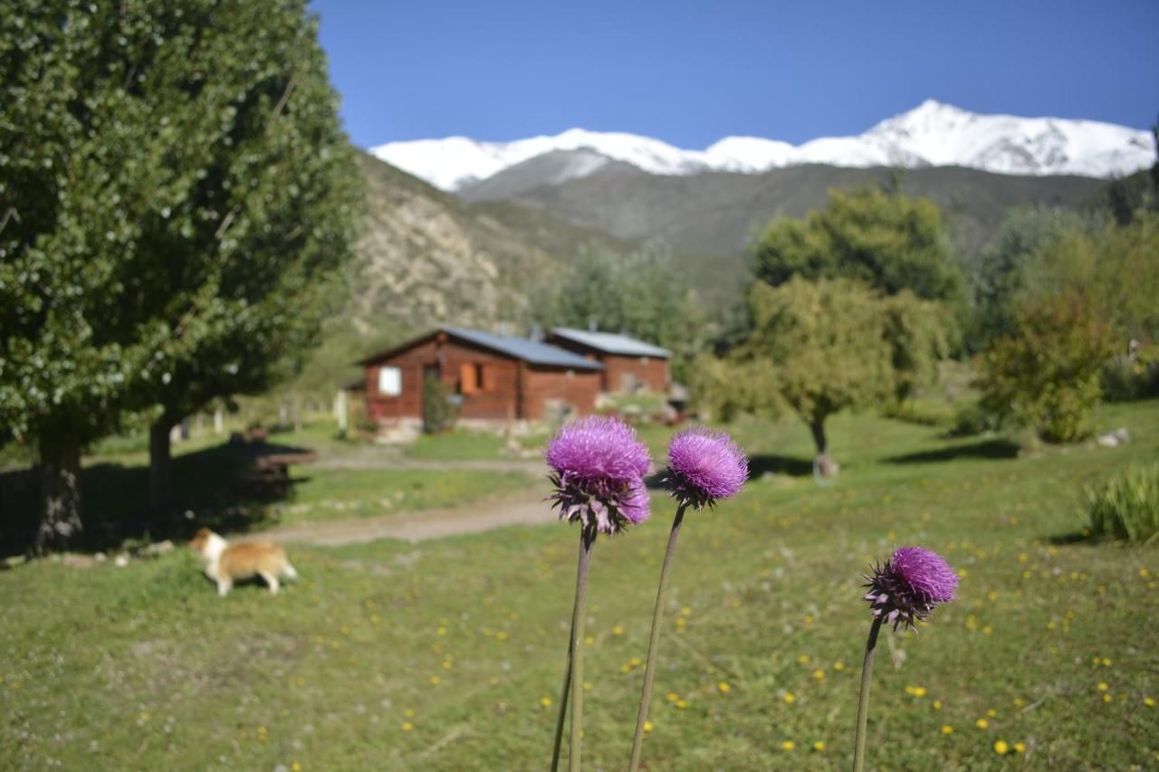 Kpriccio Lodge *